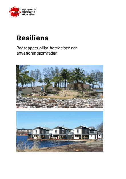 Resiliens : begreppets olika betydelser och användningsområden