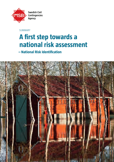 A first step towards a national risk assessment : National Risk Identification Summary 