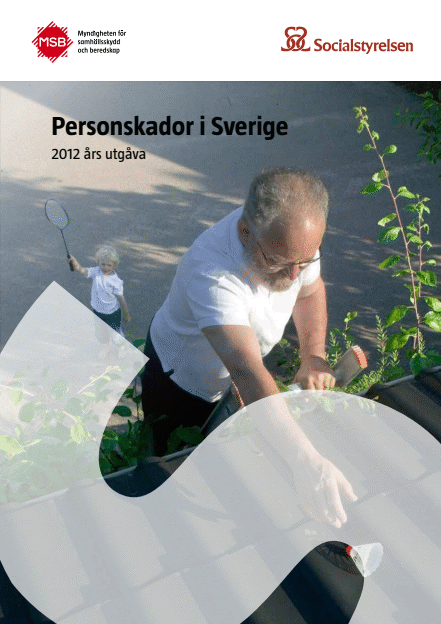 Personskador i Sverige : 2012 års utgåva