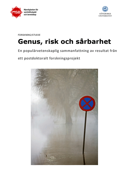 Genus, risk och sårbarhet : en populärvetenskaplig sammanfattning av resultat från ett postdoktoralt forskningsprojekt, studie