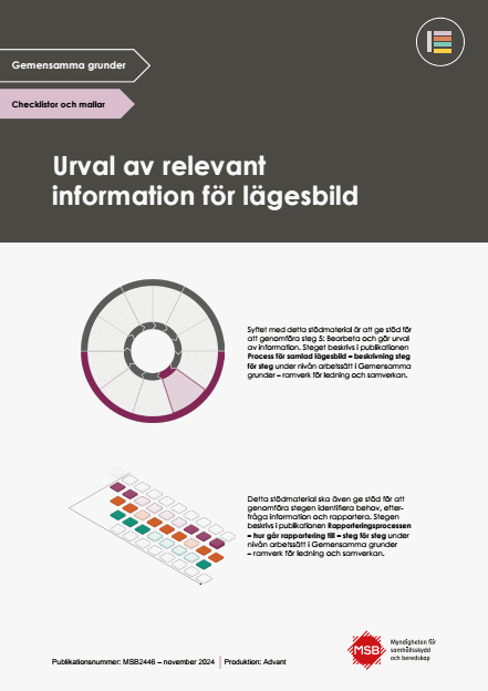 Omslagsbild för  Gemensamma grunder - samlad lägesbild - checklista - Göra urval av relevant information
