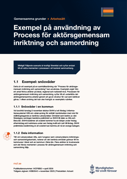Omslagsbild för  Gemensamma grunder – Arbetssätt – Aktörsgemensam inriktning och samordning – Exempel på användning av process för inriktning och samordning