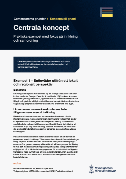 Omslagsbild för  Gemensamma grunder - Konceptuell grund - Centrala koncept - Praktiska exempel med fokus på inriktning och samordning