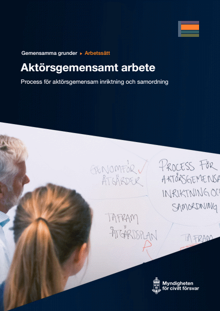 Omslagsbild för  Gemensamma grunder - arbetssätt - Process för inriktning och samordning 