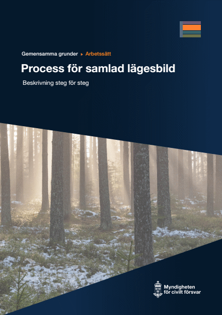 Omslagsbild för  Gemensamma grunder - arbetssätt - Process för samlad lägesbild - Beskrivning steg för steg