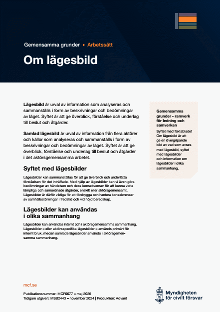 Omslagsbild för  Gemensamma grunder - arbetssätt - faktablad - Om lägesbild