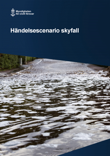 Omslagsbild för  Händelsescenario skyfall
