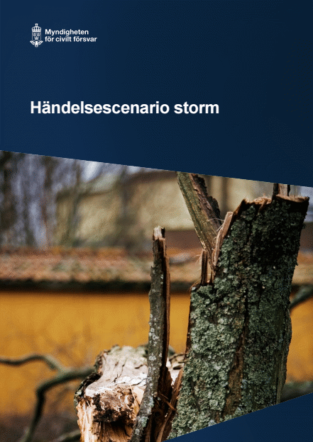 Omslagsbild för  Händelsescenario storm