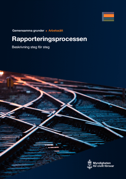 Omslagsbild för  Gemensamma grunder - arbetssätt - Rapporteringsprocessen - beskrivning steg för steg