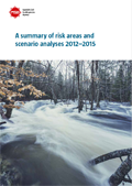 Omslagsbild för  A summary of risk areas and scenario analyses 2012–2015