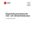 Kapacitetsutveckling för risk- och sårbarhetsanalys : en bakgrundsstudie : Studie